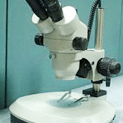 三眼實體顯微鏡